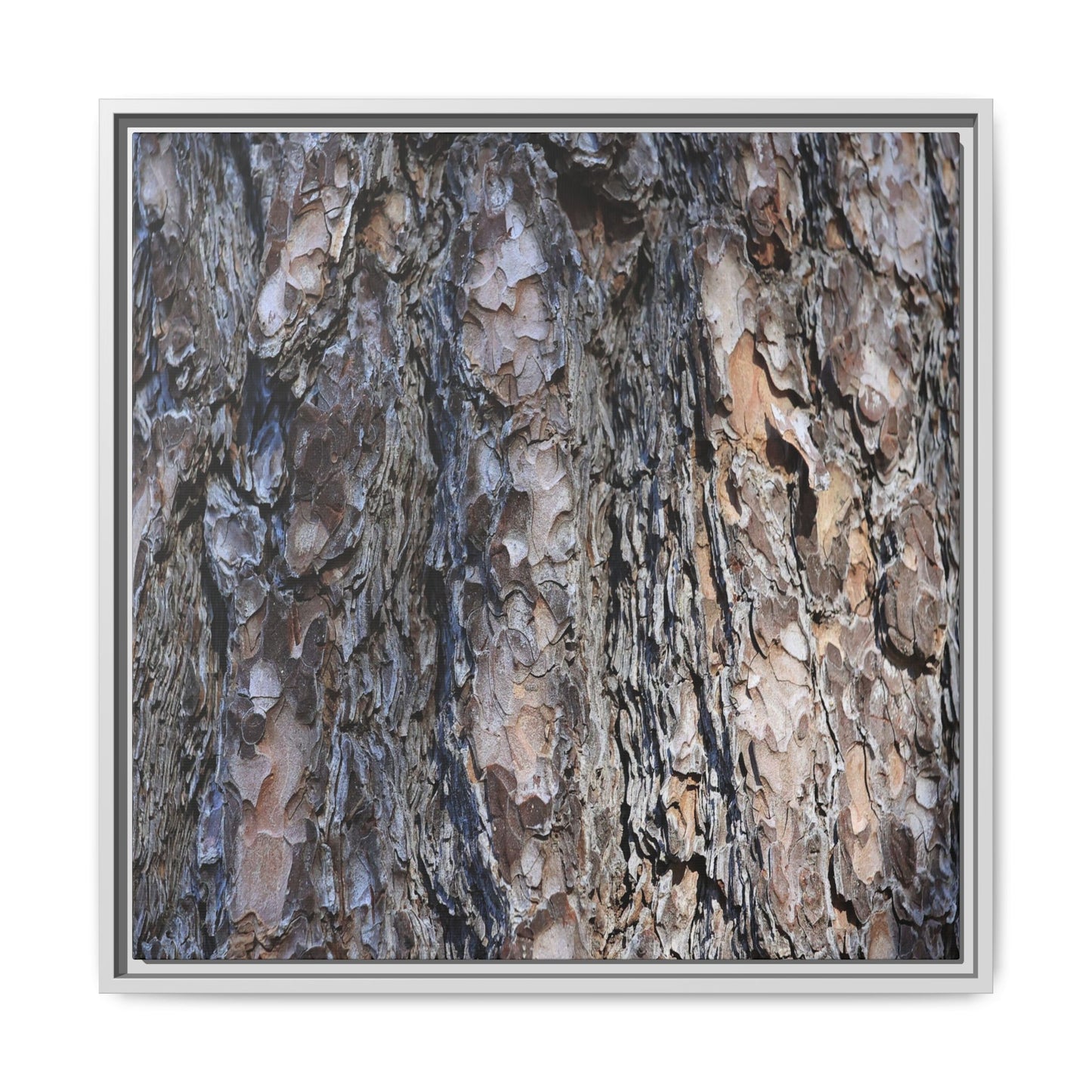 Weathered Patterns - Unique Stretched Canvas Wall Art - Art By Earth