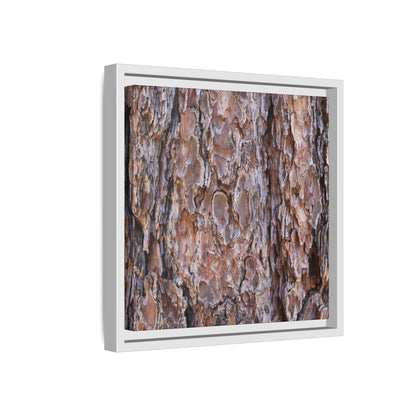 Woody Layers - Unique Stretched Canvas Wall Art - Art By Earth