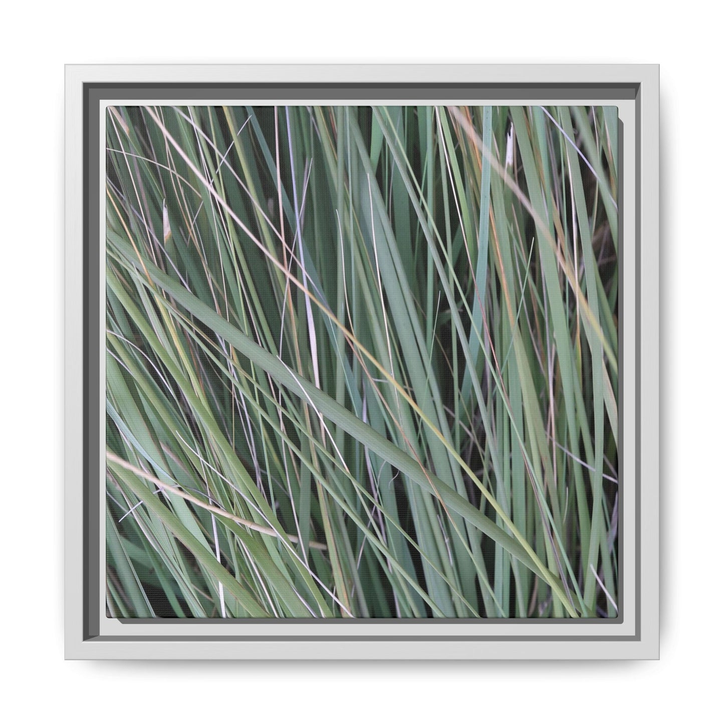 Grassland Symphony - Unique Stretched Canvas Wall Art - Art By Earth