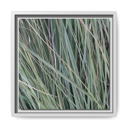 Grassland Symphony - Unique Stretched Canvas Wall Art - Art By Earth
