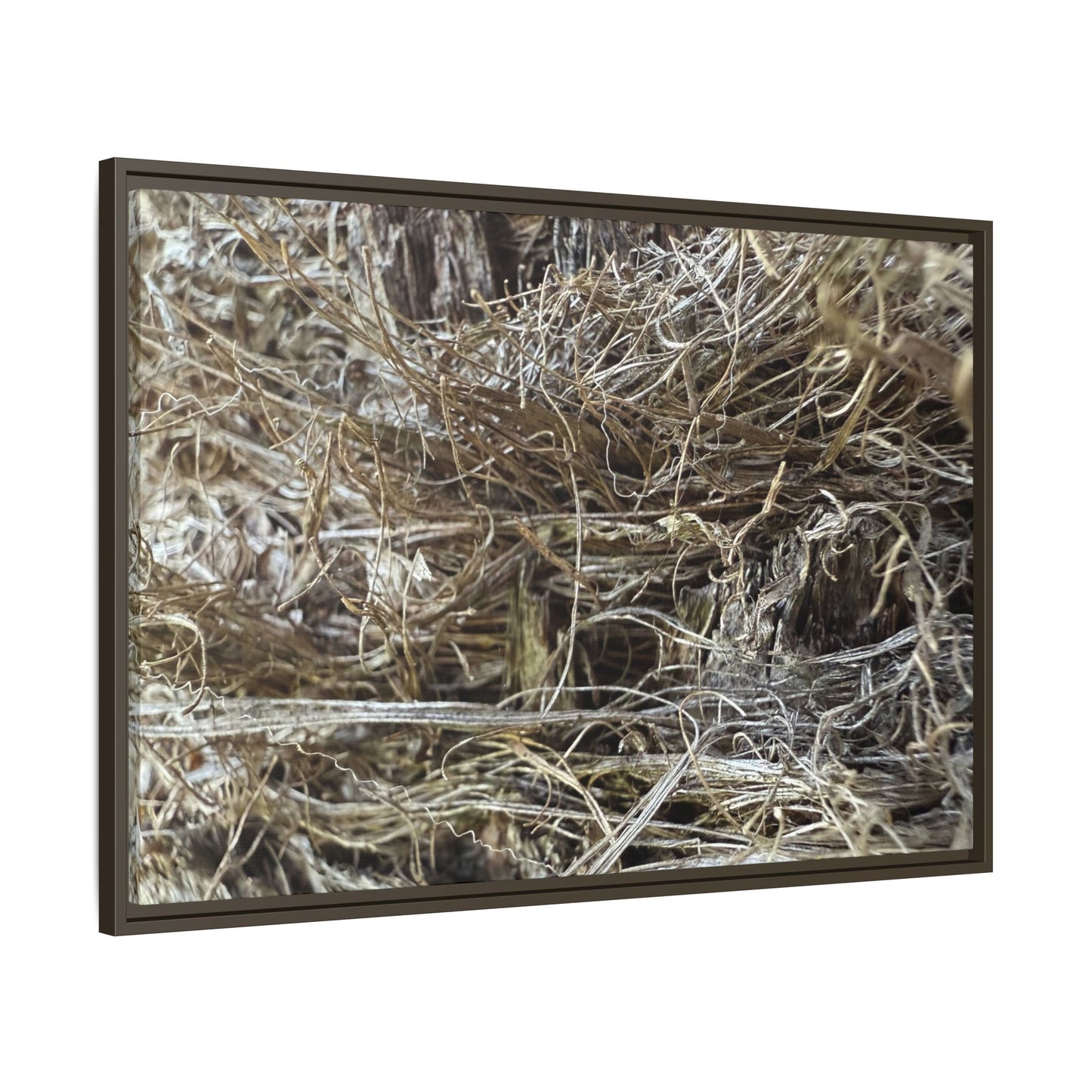 Tangled Whispers of Autumn - Unique Stretched Canvas Wall Art - Art By Earth