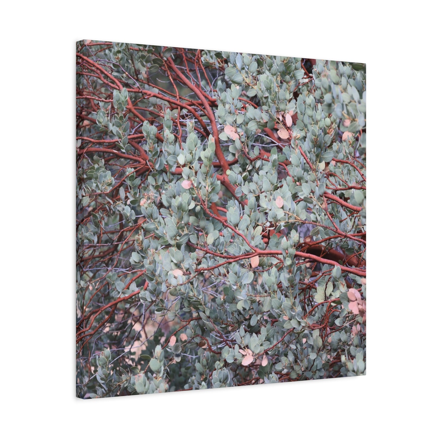 Whispers of Silver and Rust - Unique Frameless Canvas Wall Art - Art By Earth