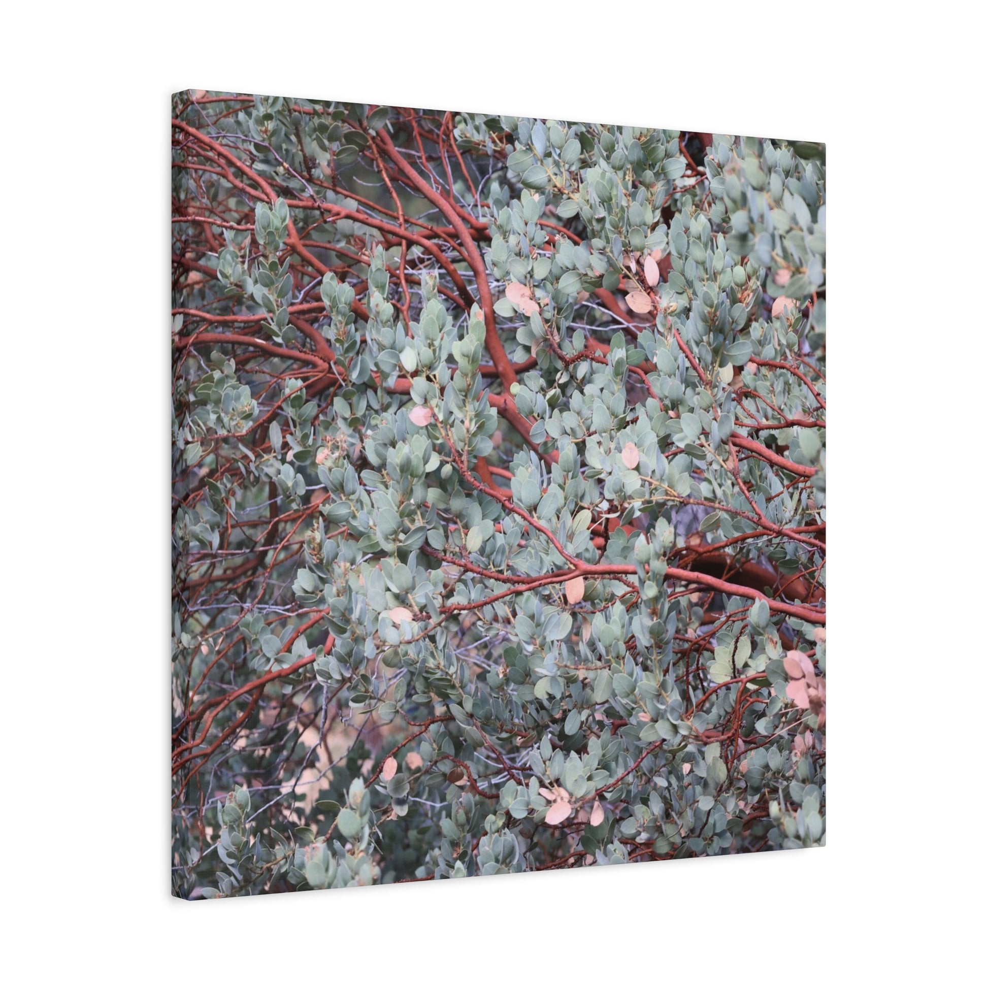 Whispers of Silver and Rust - Unique Frameless Canvas Wall Art - Art By Earth