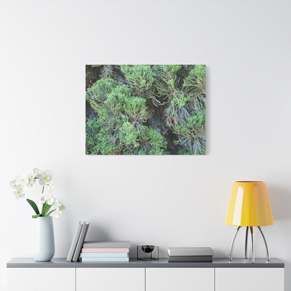 Green Labyrinth - Unique Frameless Canvas Wall Art - Art By Earth