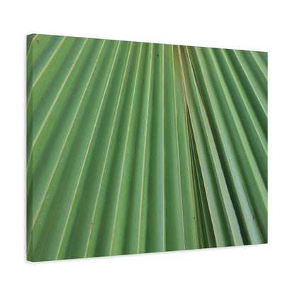 Fan of Green - Unique Frameless Canvas Wall Art - Art By Earth