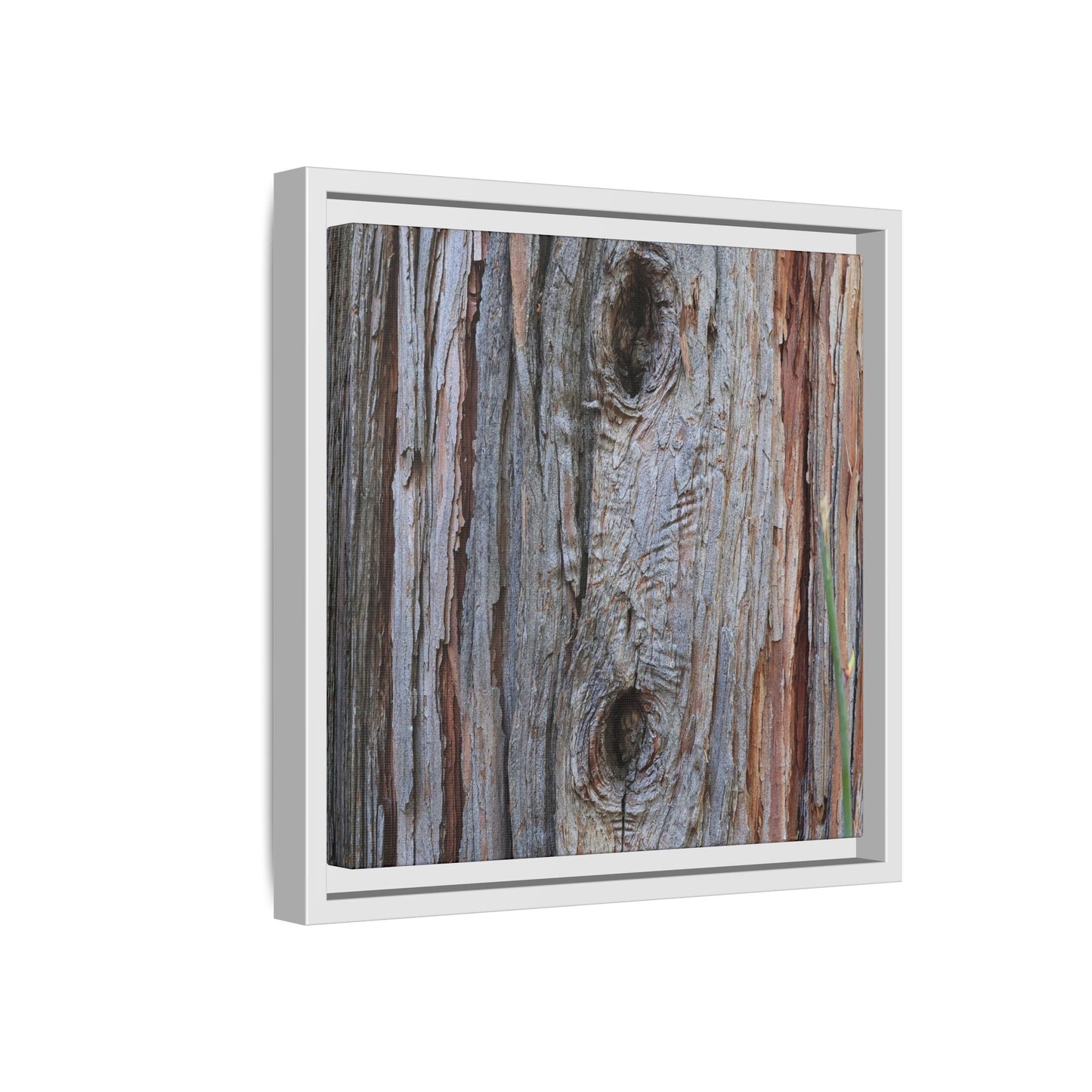 Knotty Nature - Unique Stretched Canvas Wall Art - Art By Earth