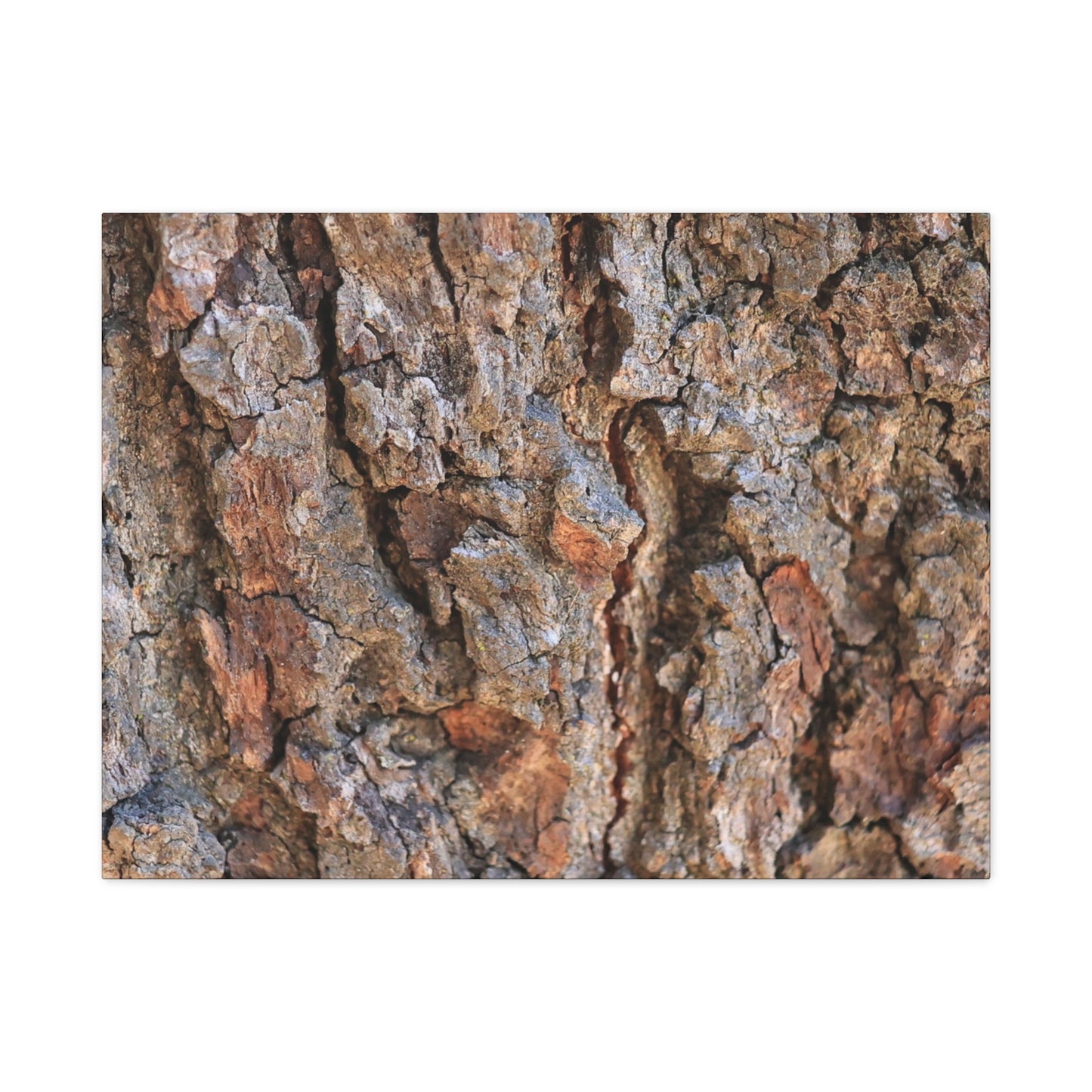 Roots of Time - Unique Frameless Canvas Wall Art - Art By Earth