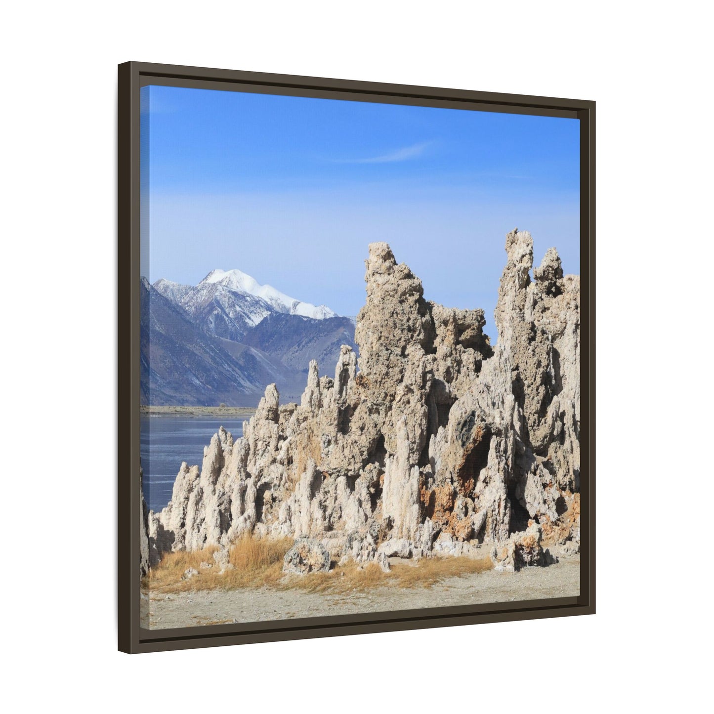 Mono Lake Tufa - Unique Stretched Canvas Wall Art