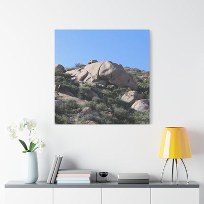 Ancient Rocks in Desert Landscape - Unique Frameless Canvas Wall Art - Art By Earth