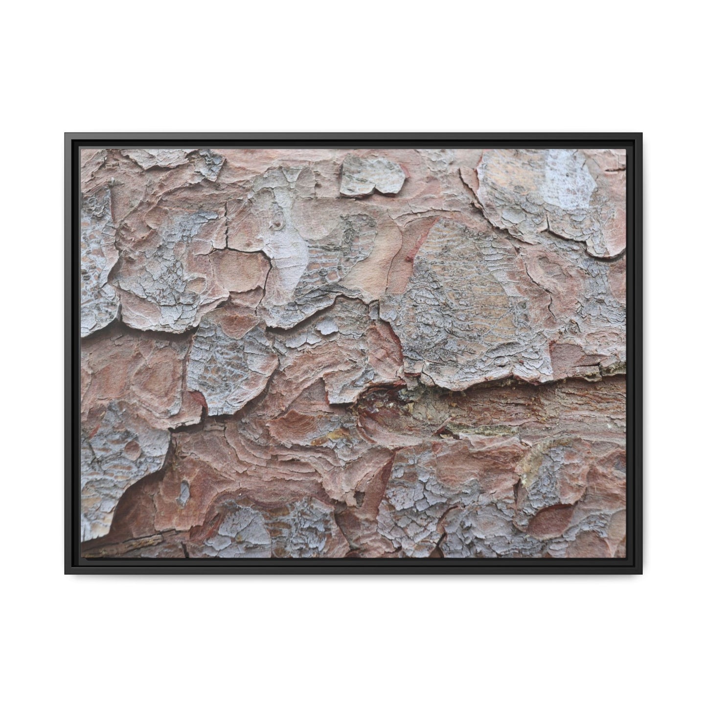 Flaking Serenity - Unique Stretched Canvas Wall Art - Art By Earth