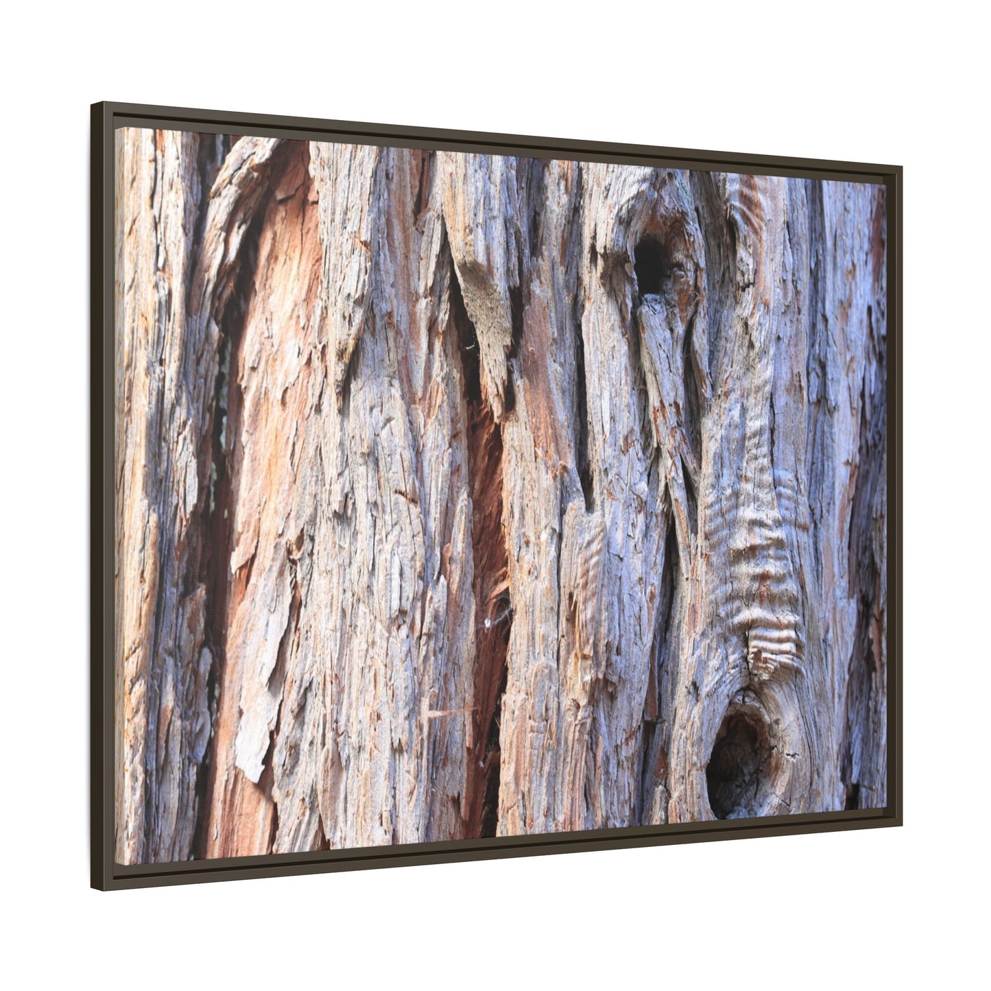 Nature's Grain - Unique Stretched Canvas Wall Art - Art By Earth