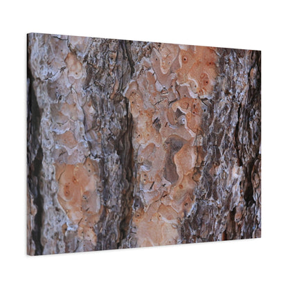 Terracotta Textures - Unique Frameless Canvas Wall Art - Art By Earth