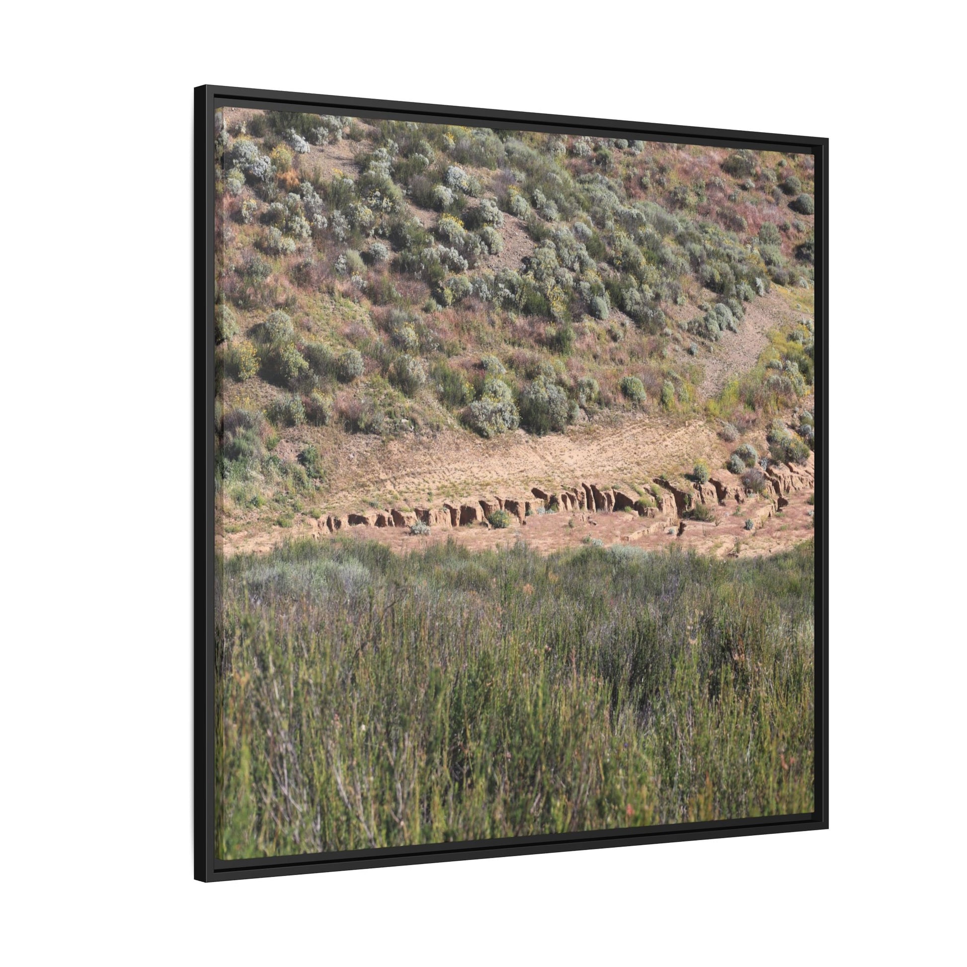 Ancient Dwellings in the Valley - Unique Stretched Canvas Wall Art - Art By Earth