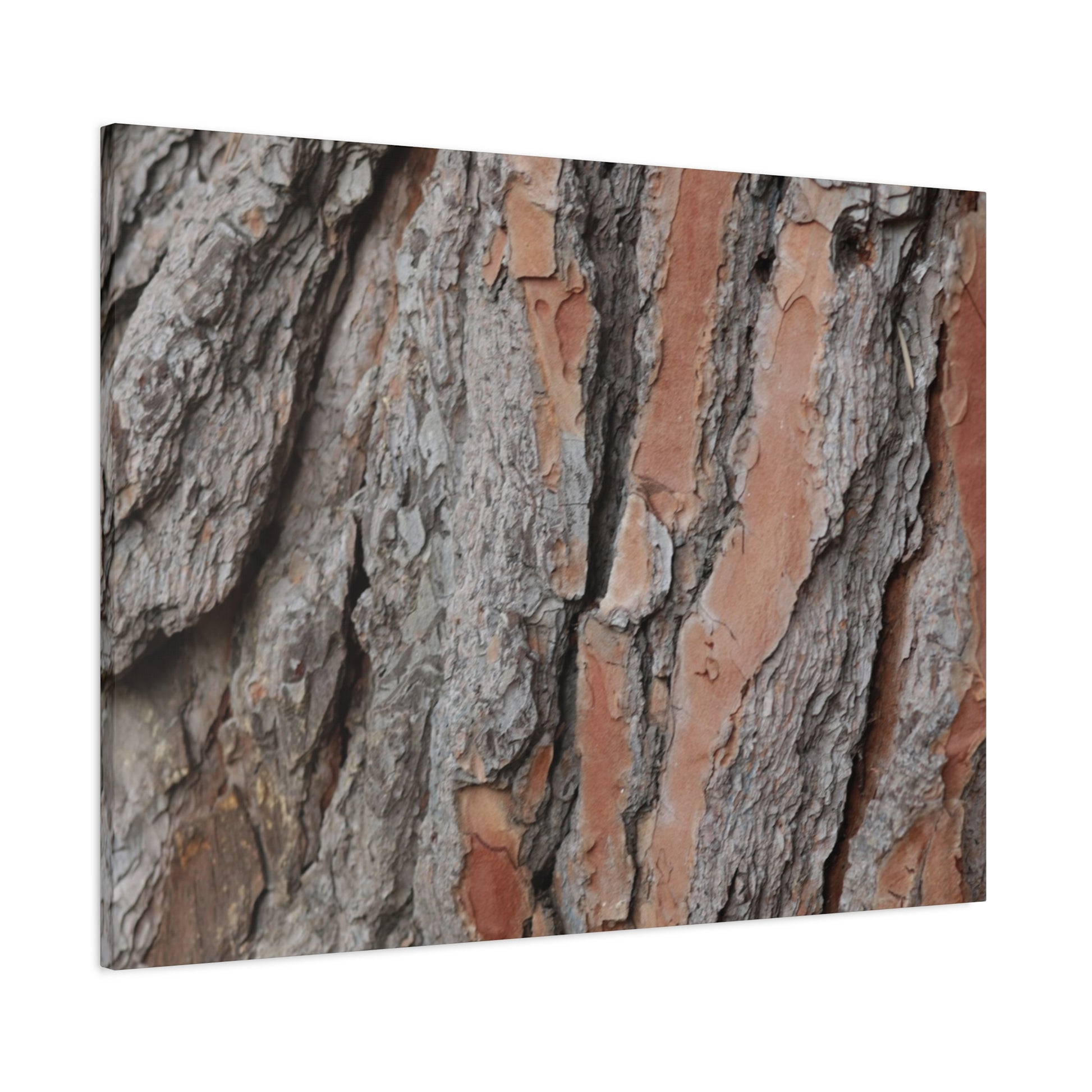 Fractal Landscape - Unique Frameless Canvas Wall Art - Art By Earth