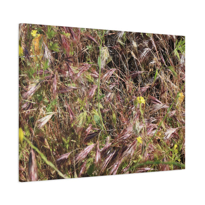 Autumn Wildflower Meadow in Transition - Unique Frameless Canvas Wall Art - Art By Earth