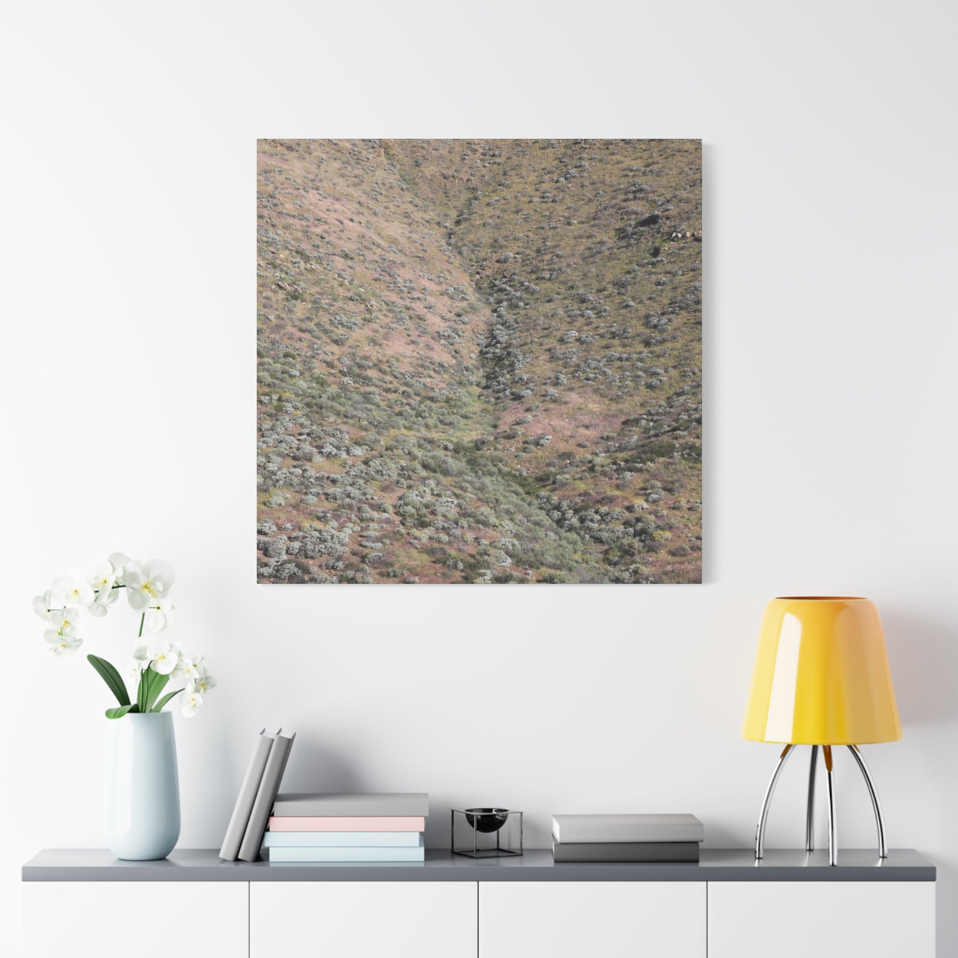 Desert Hillside - Unique Frameless Canvas Wall Art - Art By Earth