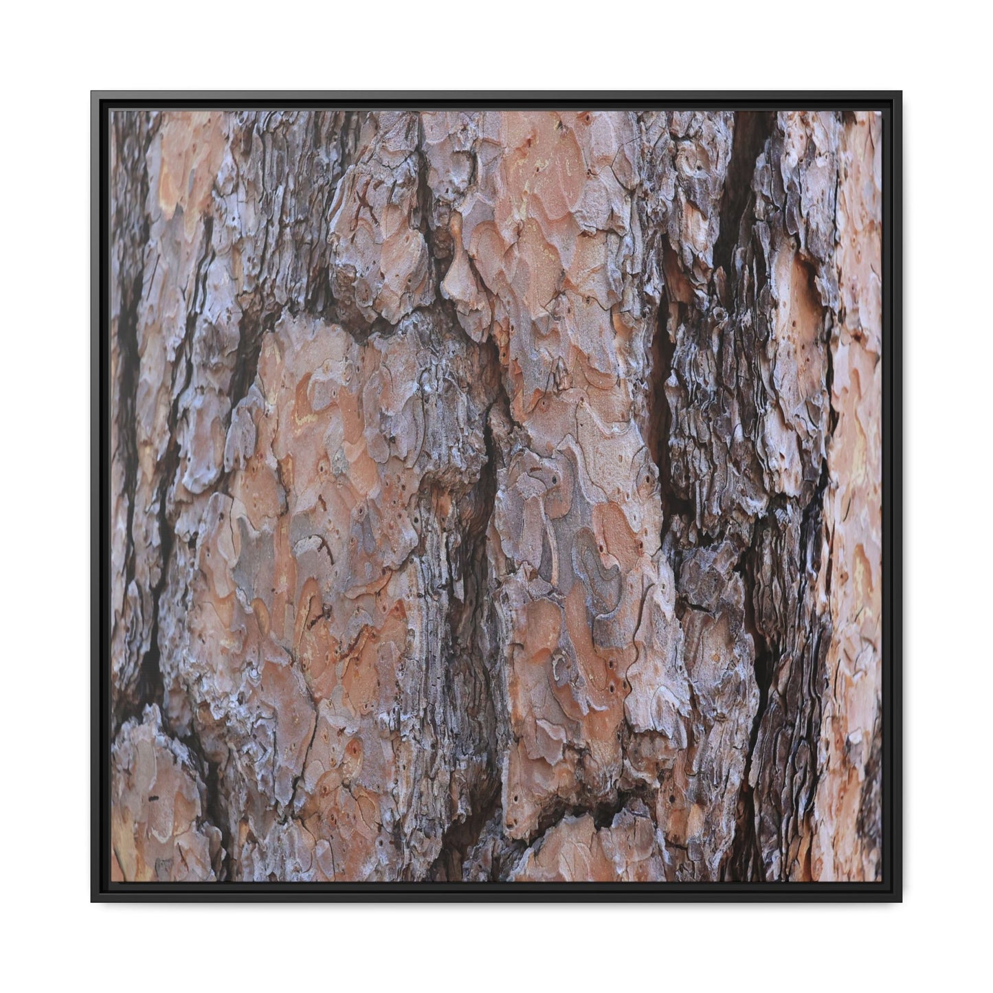 Tree Skin Symphony - Unique Stretched Canvas Wall Art - Art By Earth