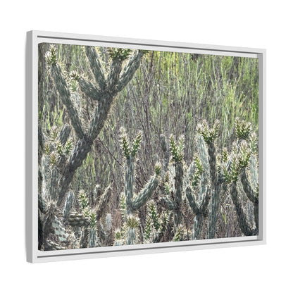 Prickly Paradise - Unique Stretched Canvas Wall Art - Art By Earth