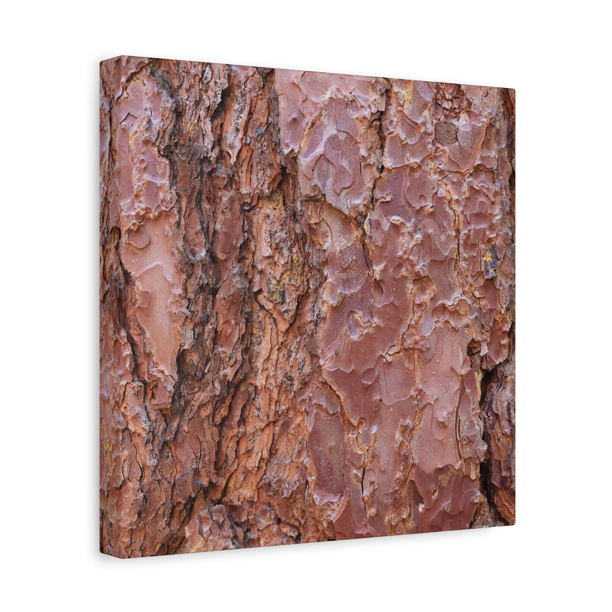 Rusty Textures - Unique Frameless Canvas Wall Art - Art By Earth