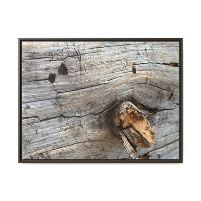 Weathered Wood Texture - Unique Stretched Canvas Wall Art - Art By Earth