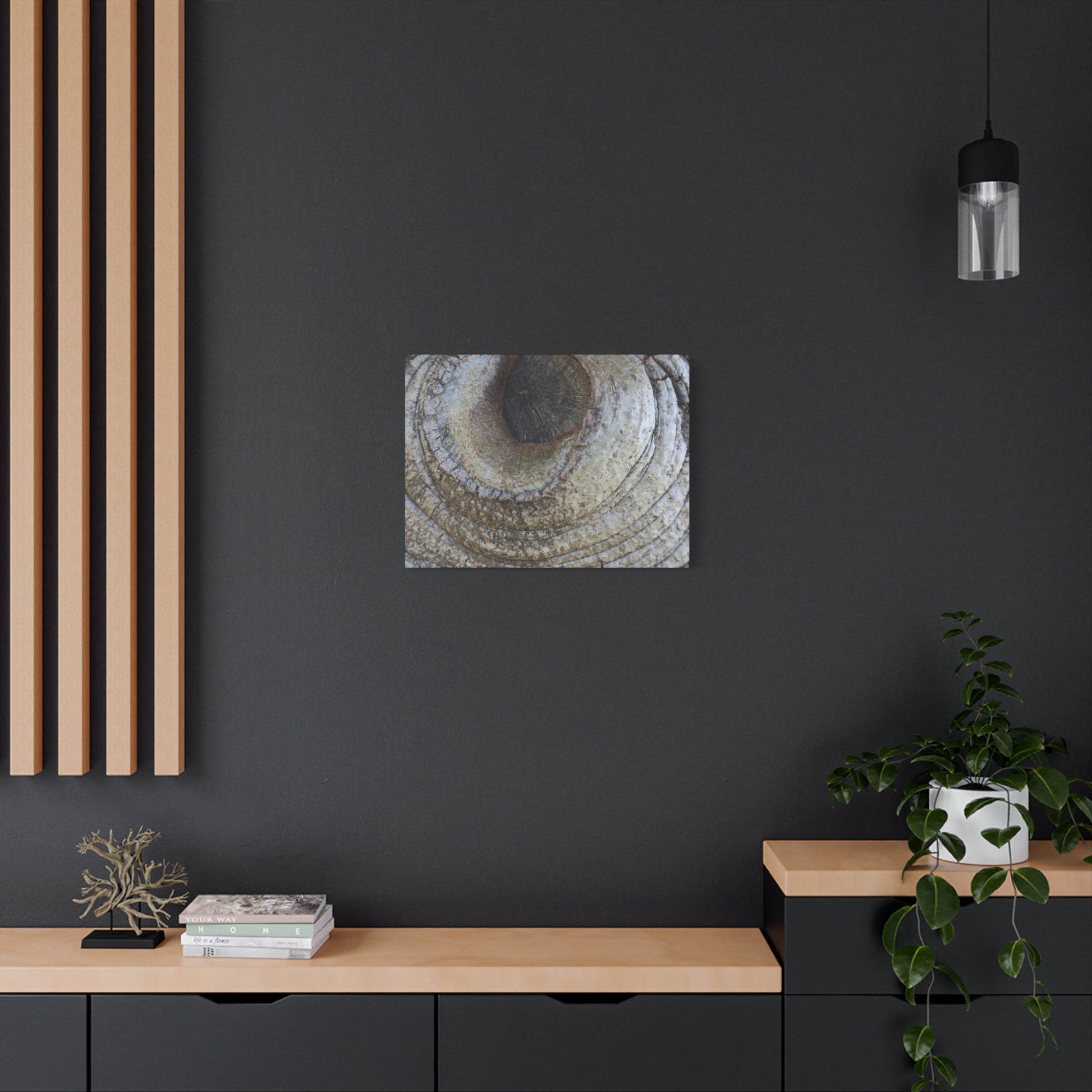 Bark's Eye - Unique Frameless Canvas Wall Art - Art By Earth