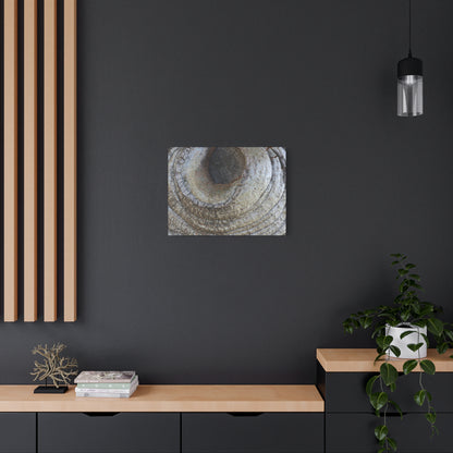 Bark's Eye - Unique Frameless Canvas Wall Art - Art By Earth