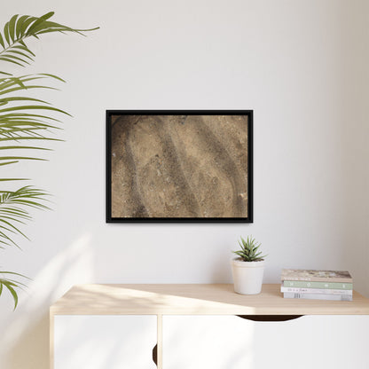 Tidal Pool Secrets - Unique Stretched Canvas Wall Art - Art By Earth