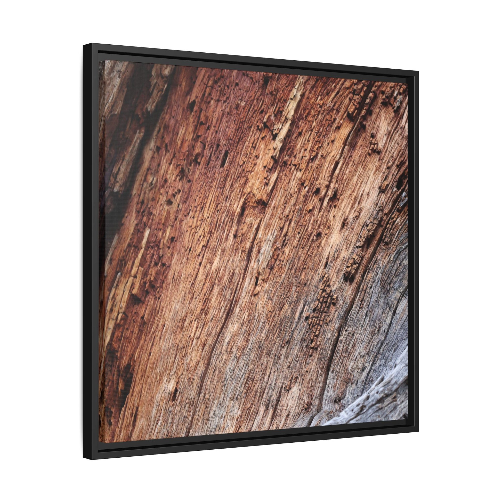 Time's Mark - Unique Stretched Canvas Wall Art - Art By Earth