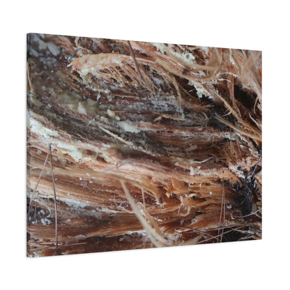 Decaying Whispers - Unique Frameless Canvas Wall Art - Art By Earth