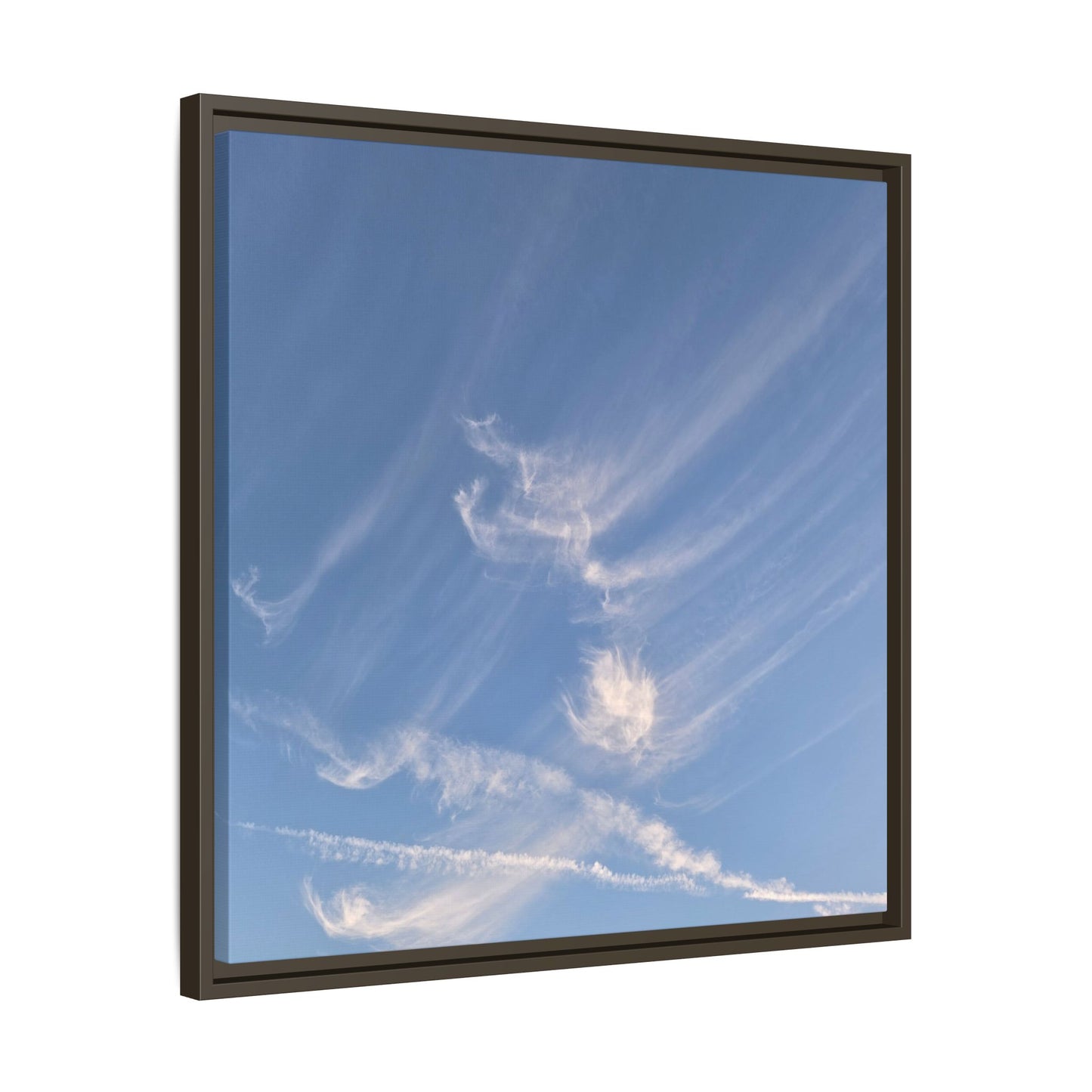 Wispy Dreams - Unique Stretched Canvas Wall Art - Art By Earth