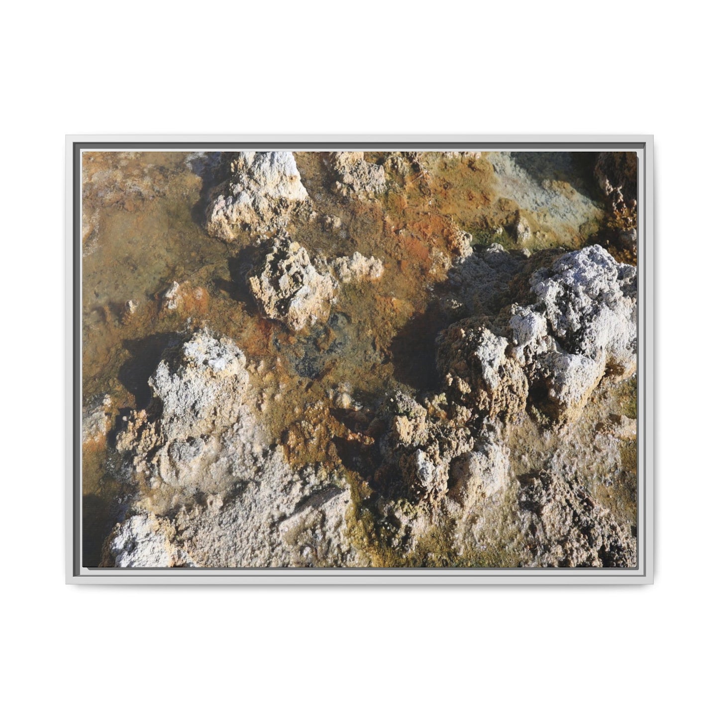 Textural Metamorphosis - Unique Stretched Canvas Wall Art