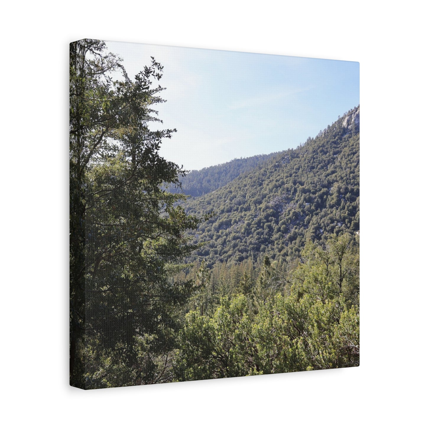 Mountain Vista Through Forest - Unique Frameless Canvas Wall Art