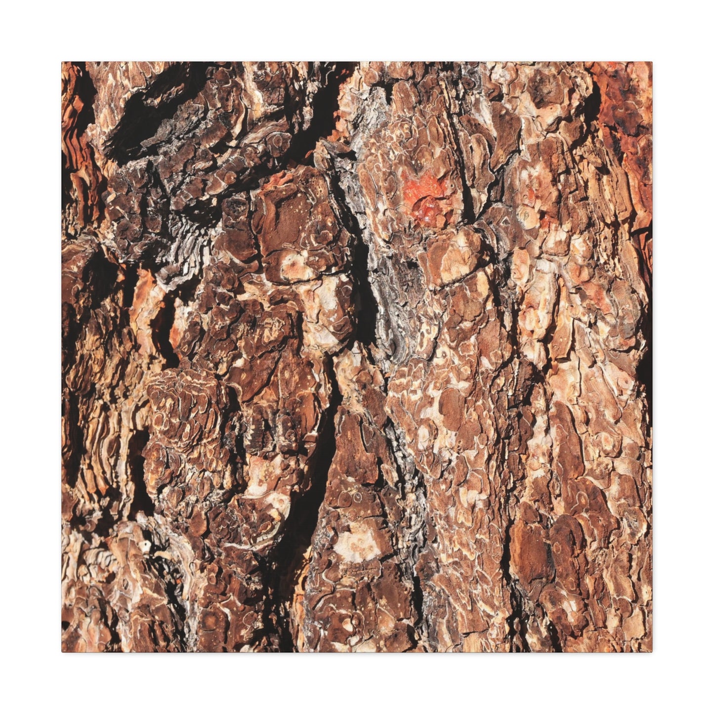 Russet Echoes - Unique Frameless Canvas Wall Art