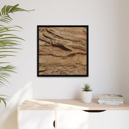 Splintered Bark - Unique Stretched Canvas Wall Art - Art By Earth