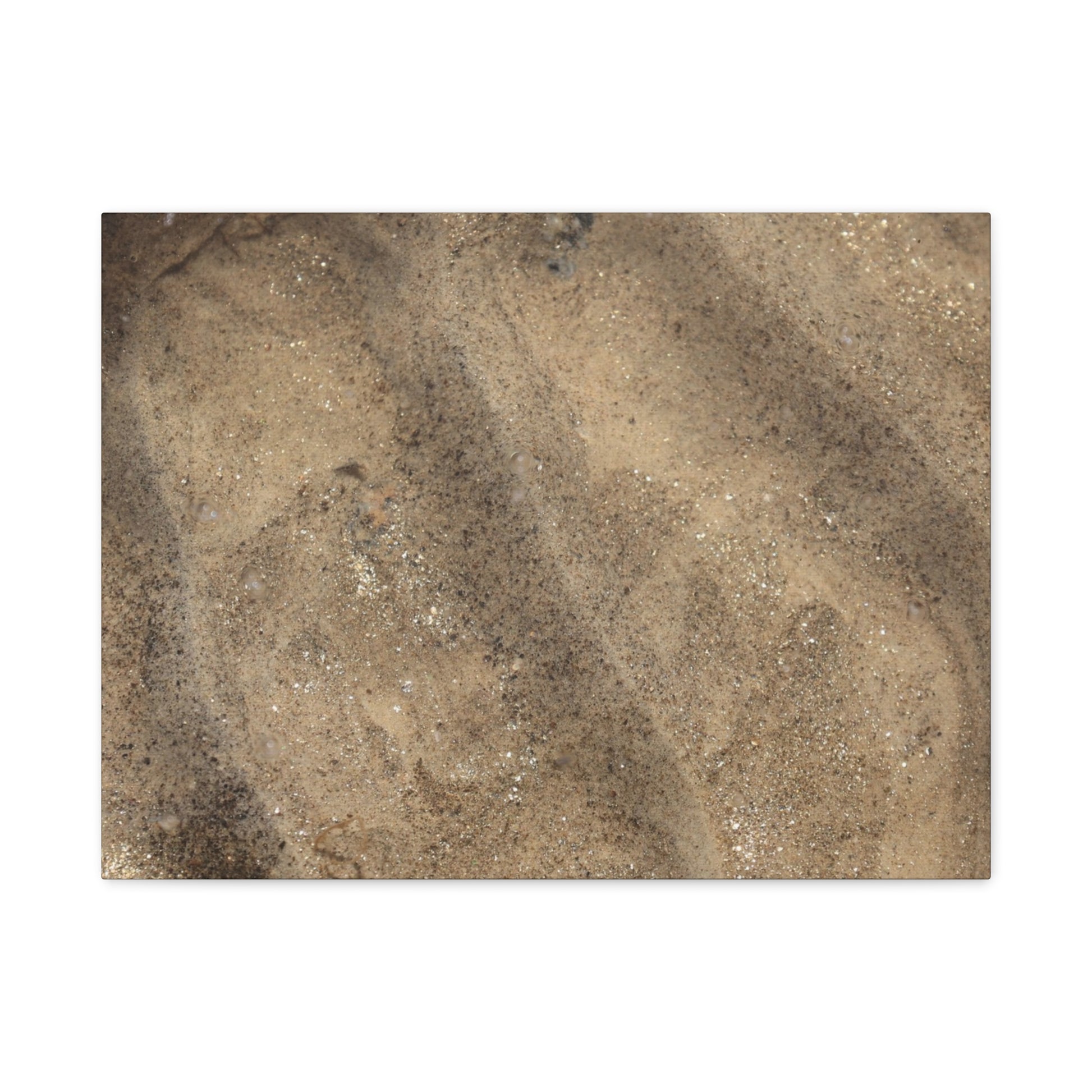 Shallow Waters - Unique Frameless Canvas Wall Art - Art By Earth