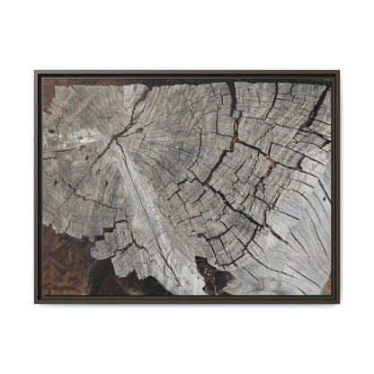 Time's Signature - Unique Stretched Canvas Wall Art - Art By Earth