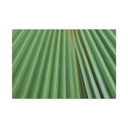 Fan of Green - Unique Frameless Canvas Wall Art - Art By Earth