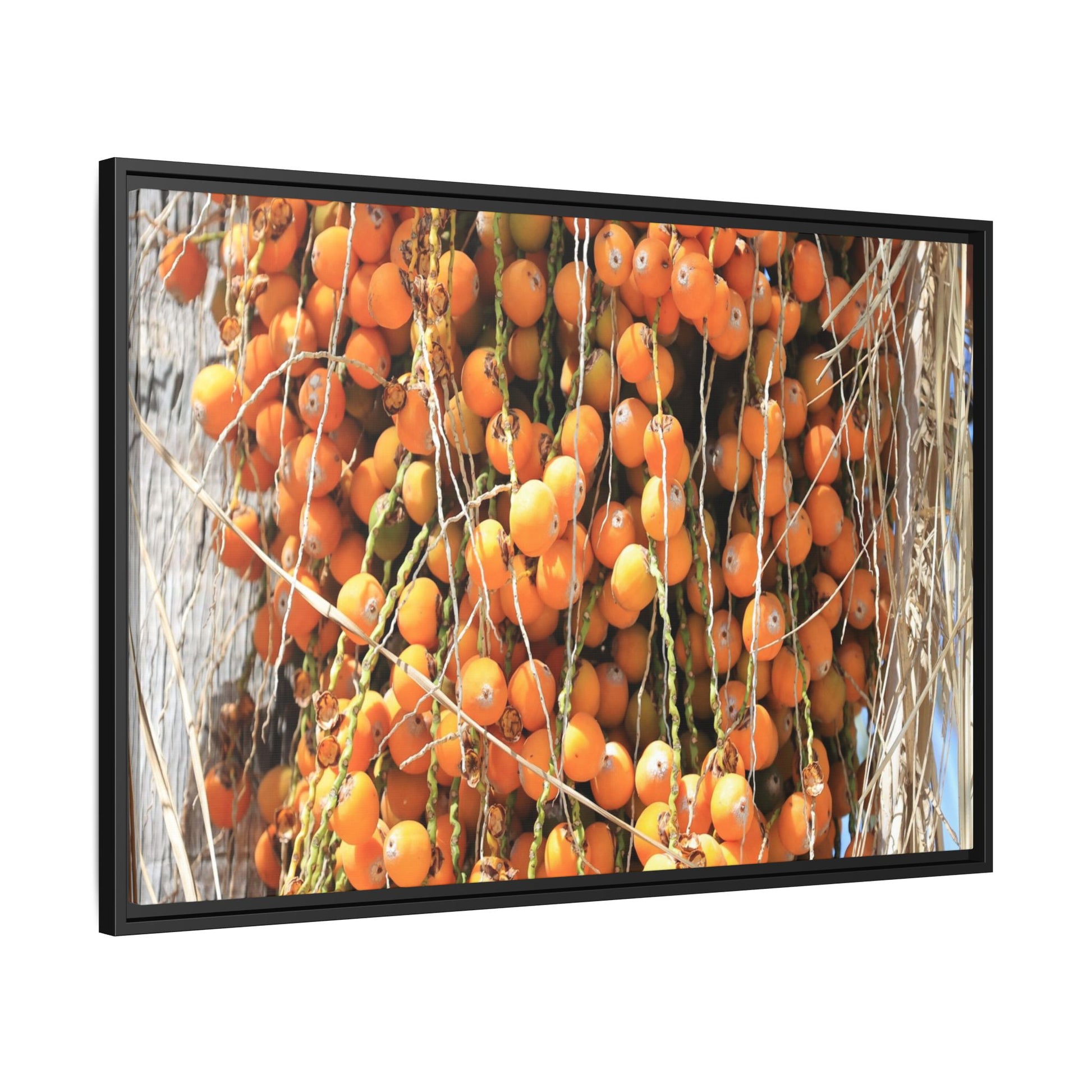 Clusters of Sunlight - Unique Canvas Wall Art - Art By Earth