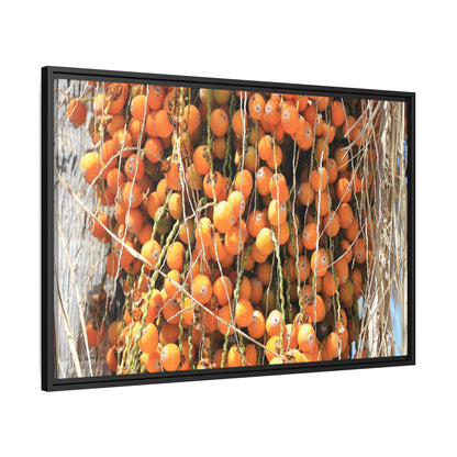 Clusters of Sunlight - Unique Canvas Wall Art - Art By Earth