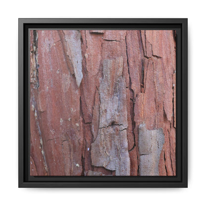 Peeling Bark - Unique Stretched Canvas Wall Art - Art By Earth