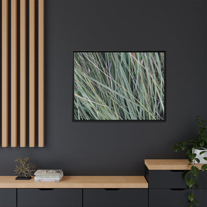 Grassland Symphony - Unique Stretched Canvas Wall Art - Art By Earth