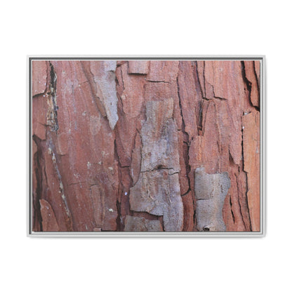 Peeling Bark - Unique Stretched Canvas Wall Art - Art By Earth