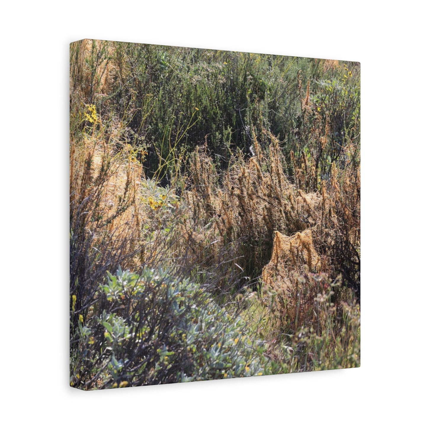 Sagebrush Desert Landscape - Unique Frameless Canvas Wall Art - Art By Earth