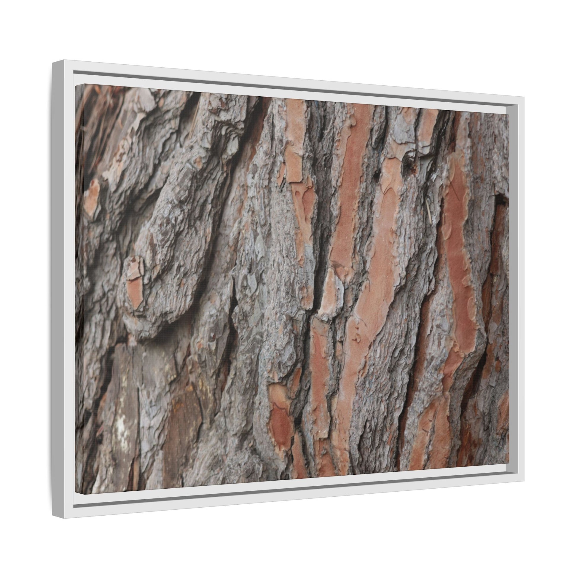 Woodland Layers - Unique Stretched Canvas Wall Art - Art By Earth