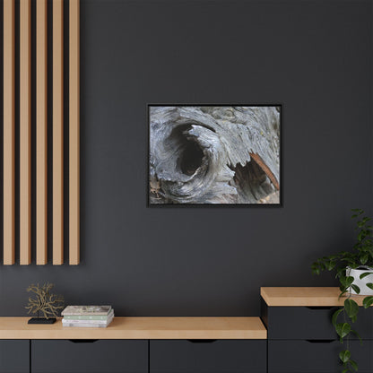 Bark's Labyrinth - Unique Stretched Canvas Wall Art - Art By Earth
