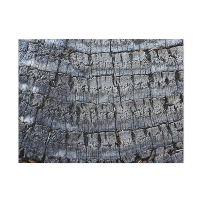 Whispers of Age - Unique Frameless Canvas Wall Art - Art By Earth