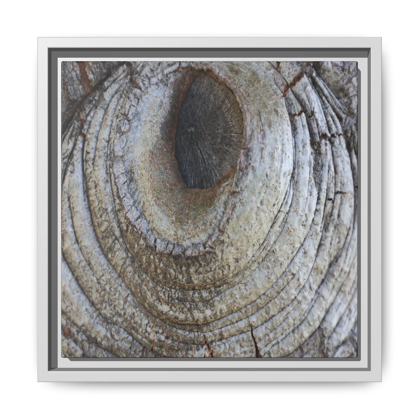 Echoes of Time - Unique Stretched Canvas Wall Art - Art By Earth