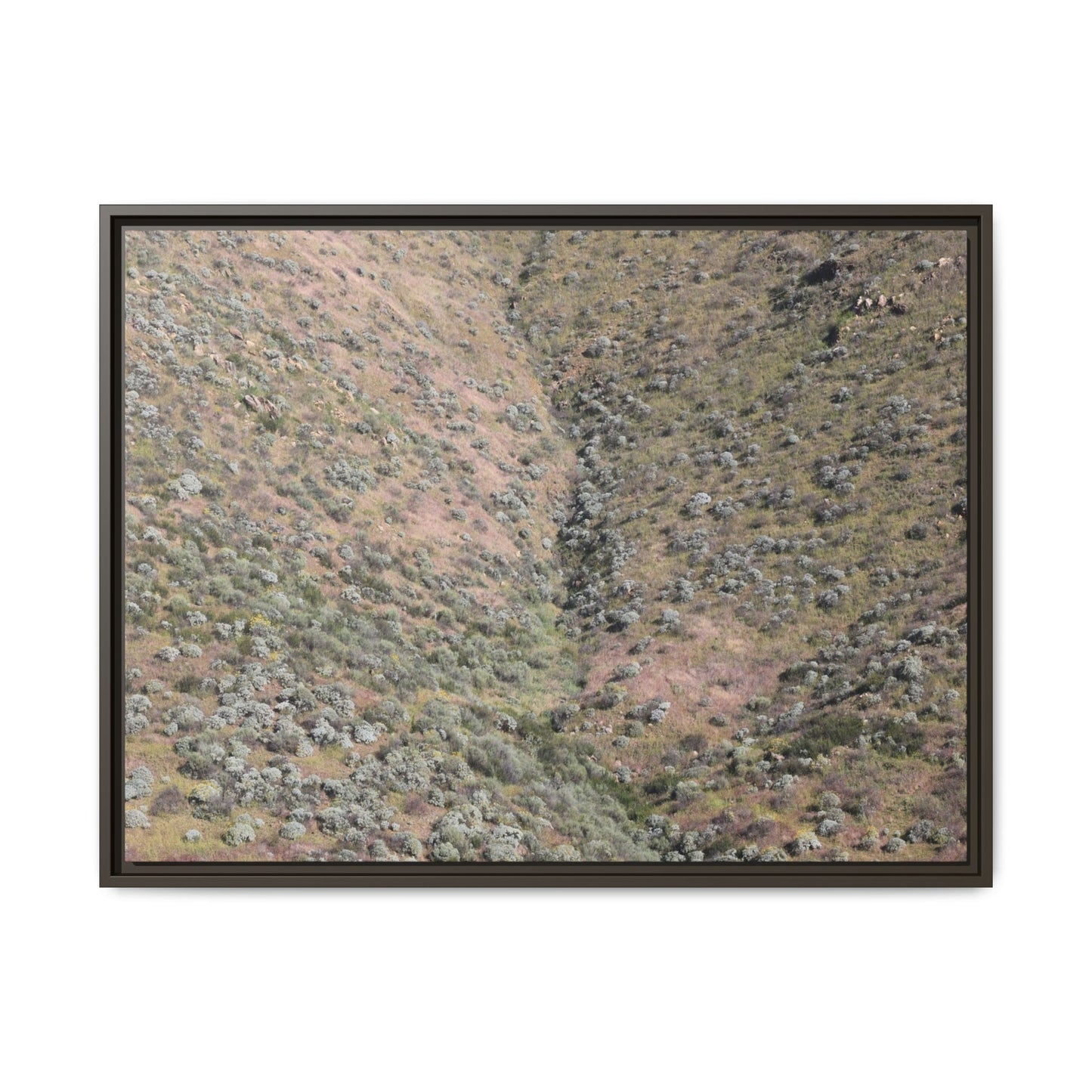 Mountain Slope with Desert Vegetation - Unique Stretched Canvas Wall Art - Art By Earth