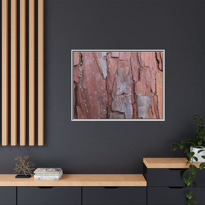 Peeling Bark - Unique Stretched Canvas Wall Art - Art By Earth