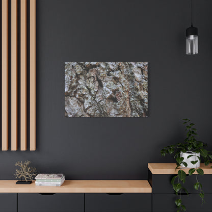 Cracked Echoes - Unique Frameless Canvas Wall Art - Art By Earth